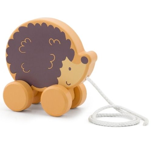 Pull Along Hedgehog