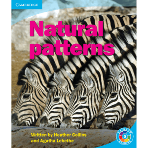 Rainbow Readers L5: Natural Patterns