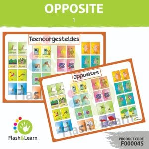 FL Poster A2: Teenoorgesteldes